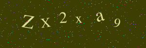 Validation image